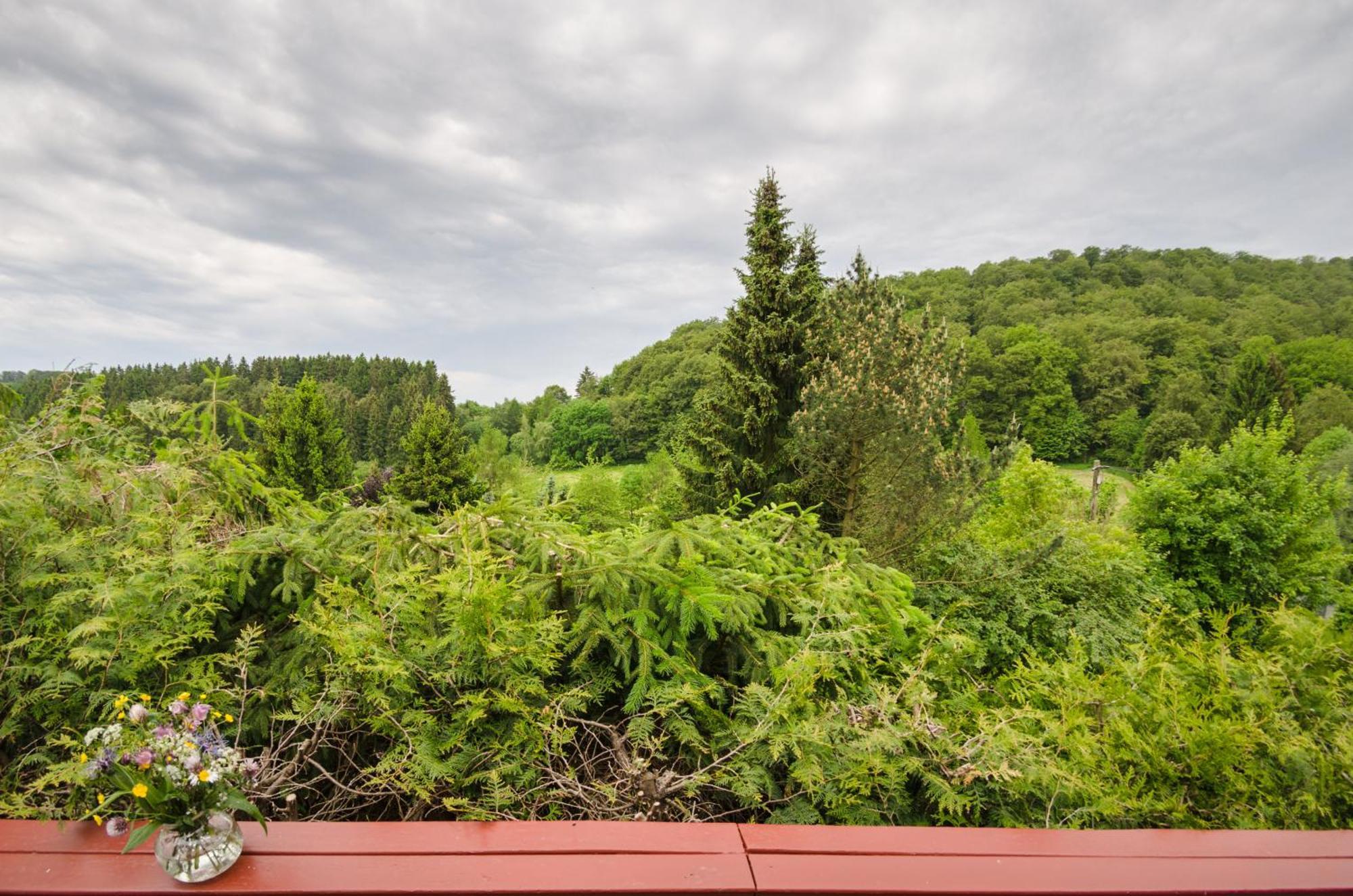 Gluehalm Willingen Villa วิลลิงเงิน ภายนอก รูปภาพ